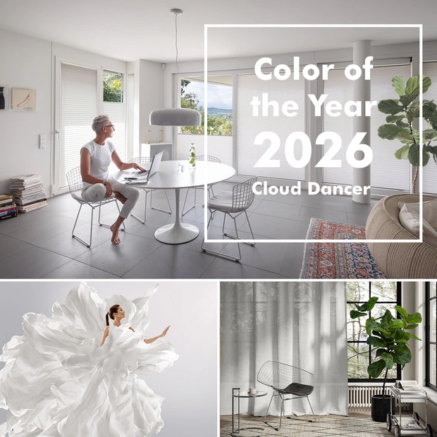 Pantone Farbe des Jahres 2026 Cloud Dancer